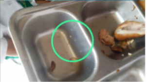 Dugaan Belatung dalam Makanan MBG di MI Al Hadid Lebak, Yayasan Hamim Center Akui dan Minta Maaf